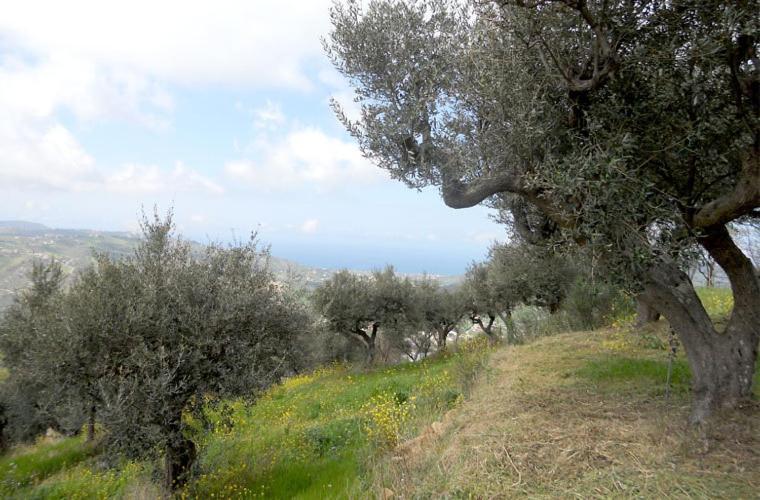 Casale Il Gheppio ξενώνας Laureana Cilento Εξωτερικό φωτογραφία