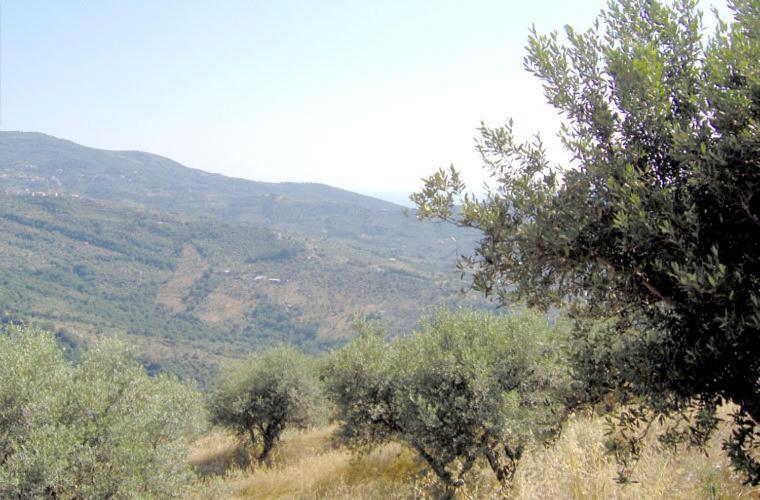 Casale Il Gheppio ξενώνας Laureana Cilento Εξωτερικό φωτογραφία