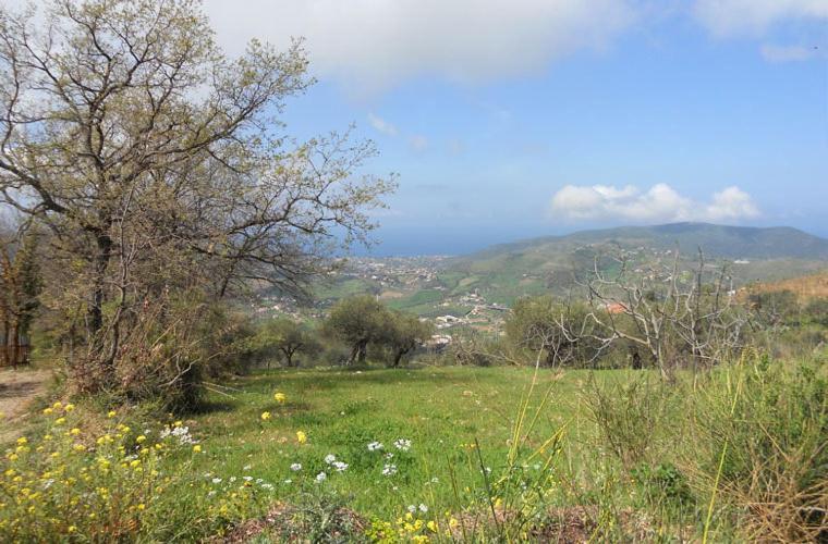 Casale Il Gheppio ξενώνας Laureana Cilento Εξωτερικό φωτογραφία